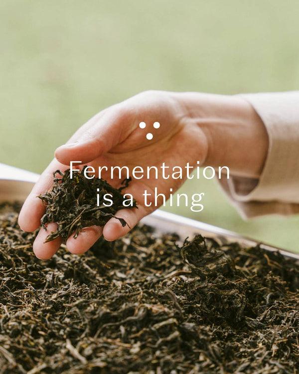 Dottir PLŪKT Nordic Black Organic Herbal Tea