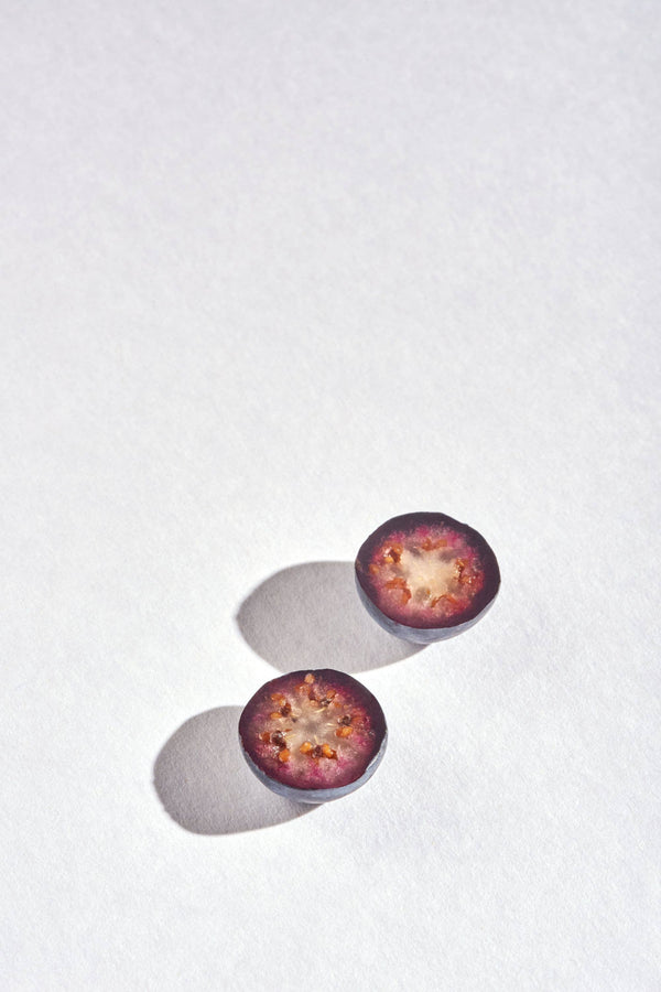 Dottir PLŪKT Nordic Morning Cold Brew Organic Tea