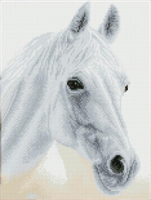 dotz Diamond Dotz Arabian Beauty Pre-Framed Kit - 12.2" x 16.1"