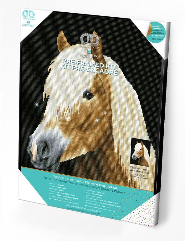 dotz Diamond Dotz Chester Pre-Framed Kit - 13.4" x 18.5"