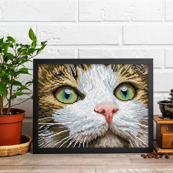 Dotz Diamond Dotz Green Eyed Beauty With Frame - 14.0" X 10.9"