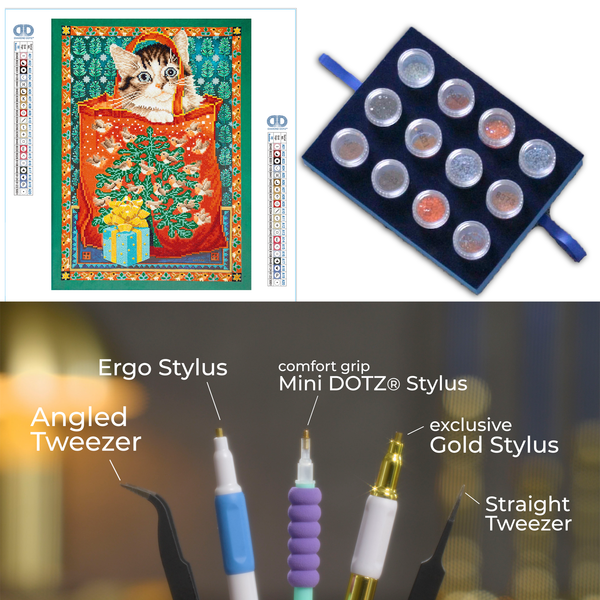 Dotz Diamond Dotz Manuel In The Christmas Robin Bag Masterclass - 14.6" X 20.5"