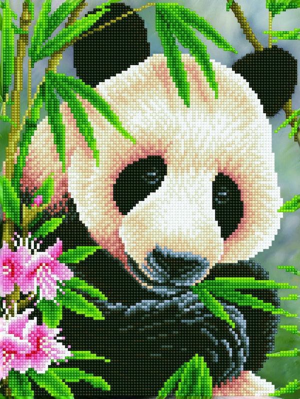 dotz Diamond Dotz Panda Prince with Frame - 11.8" x 15.8"