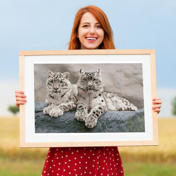 Dotz Diamond Dotz Snow Leopards Hemis National Park - 29.5" X 19.7"