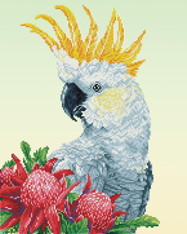 dotz Diamond Dotz White Cockatoo & Waratahs - 16.1" x 20.1"