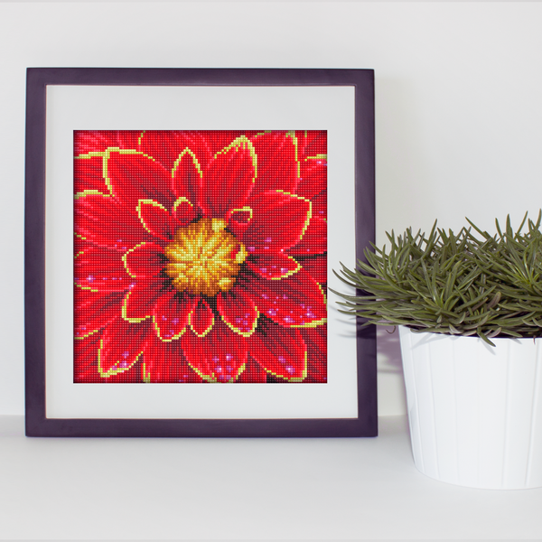 Dotz Diamond Dotz Dahlia With Frame - 12.0" X 12.0"