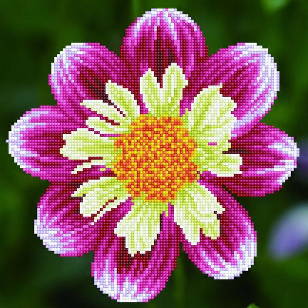 dotz Diamond Dotz Daisy-A-Day - 12.0" x 12.0"