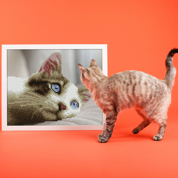 Dotz Diamond Dotz Daydream Kitty - 9.8" X 8.1"