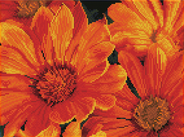 dotz Diamond Dotz Delosperma in Bloom - 15.8" x 11.8"