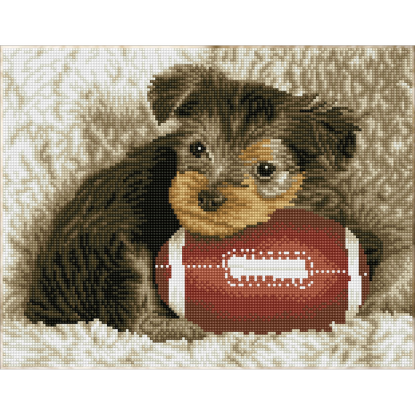 dotz Diamond Dotz Footy Pup - 16.1" x 12.6"