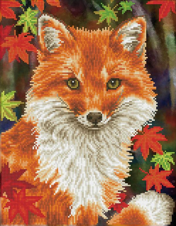 dotz Diamond Dotz Foxy - 13.8" x 17.7"