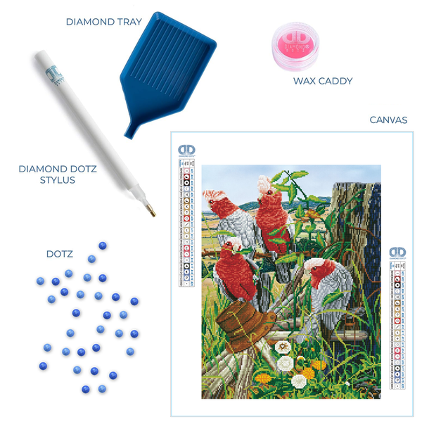 Dotz Diamond Dotz Galah Quartet - 18.5" X 22.4"