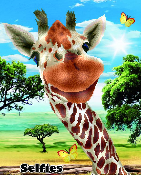 dotz Diamond Dotz Hey There - 16.5" x 20.5"