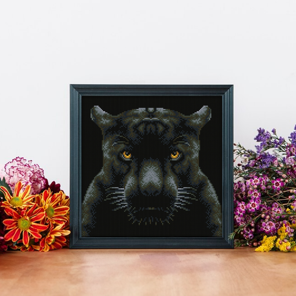 Dotz Diamond Dotz If Looks Could Kill - 13.6" X 13.6"