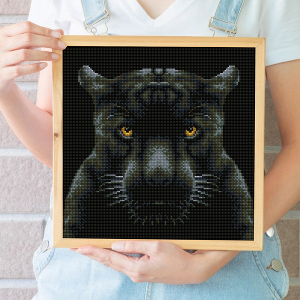 Dotz Diamond Dotz If Looks Could Kill - 13.6" X 13.6"