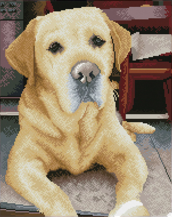 Dotz Diamond Dotz King - 15.8" X 19.7"