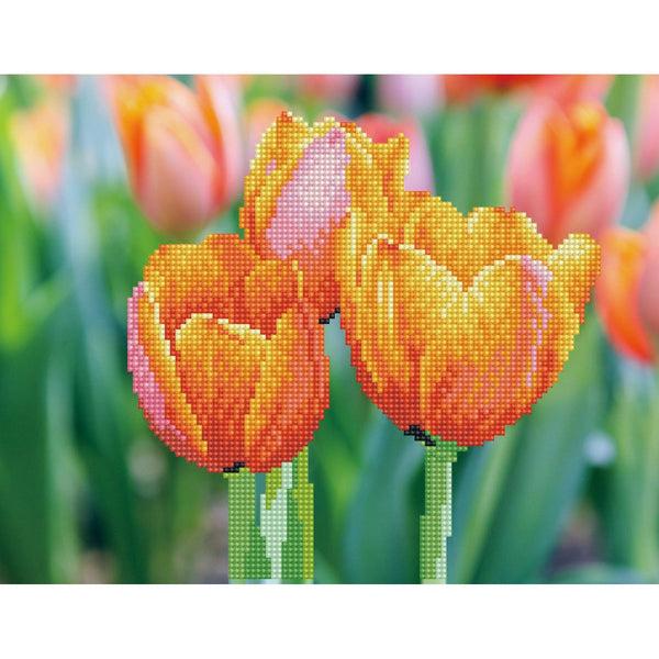 dotz Diamond Dotz Love Tulips - 13.8" x 10.6"