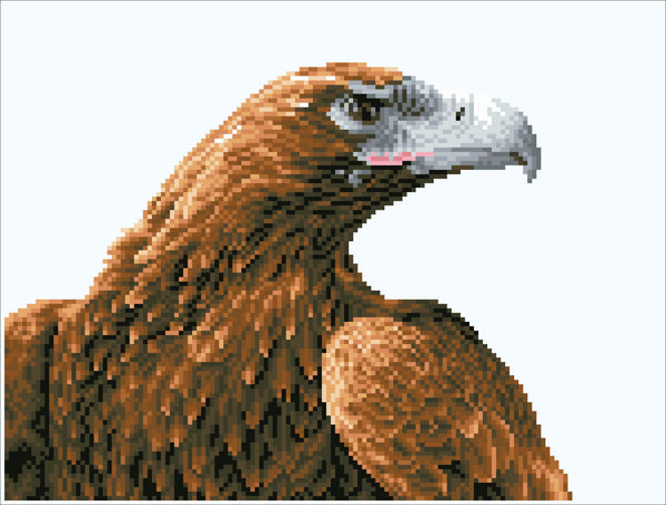 Dotz Diamond Dotz Majesty - 16.5" X 12.6"