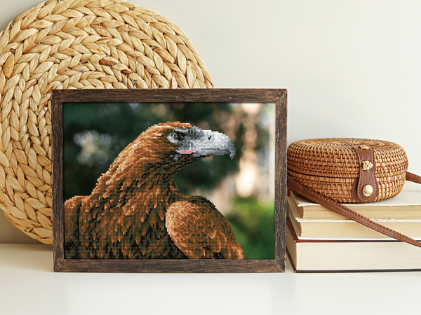 Dotz Diamond Dotz Majesty - 16.5" X 12.6"