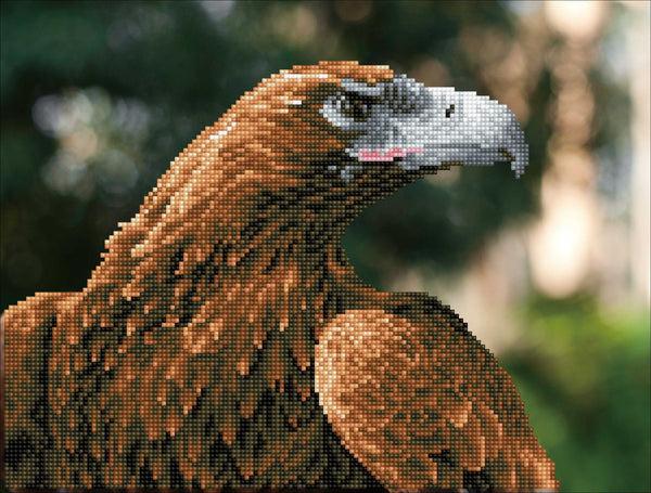 dotz Diamond Dotz Majesty - 16.5" x 12.6"