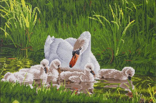 dotz Diamond Dotz Mother Swan & Signets - 24.4" x 16.1"