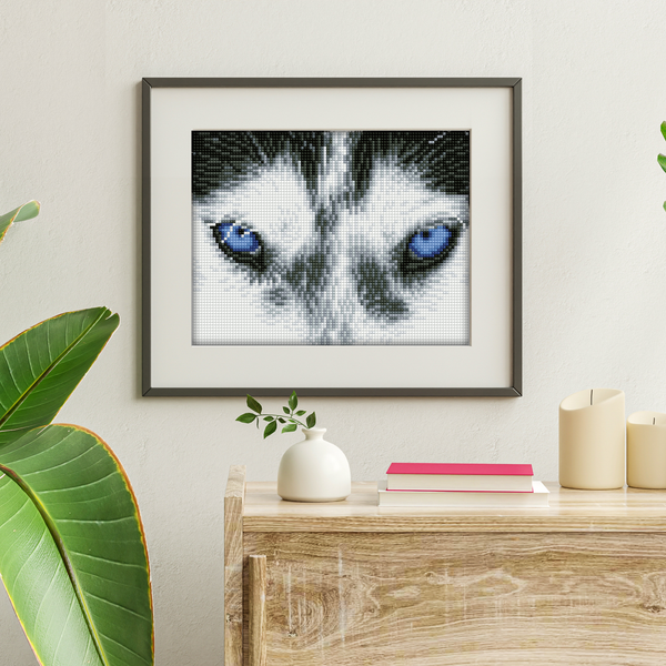 Dotz Diamond Dotz Mystic Husky - 10.2" X 8.0"