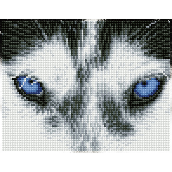 dotz Diamond Dotz Mystic Husky - 10.2" x 8.0"