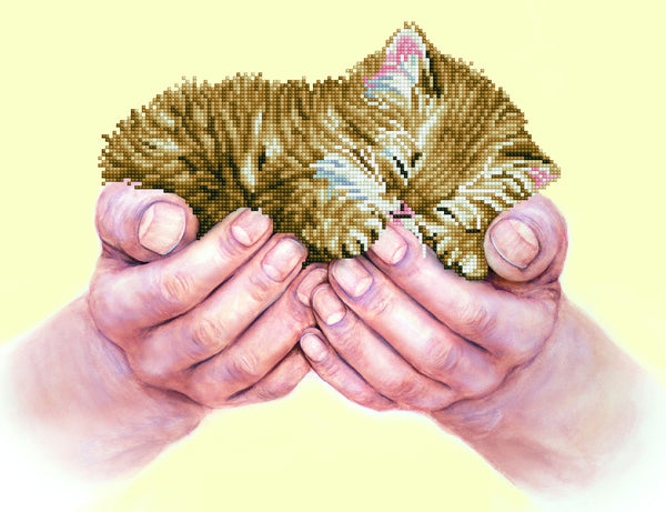 dotz Diamond Dotz Precious Kitten - 20.5" x 15.7"