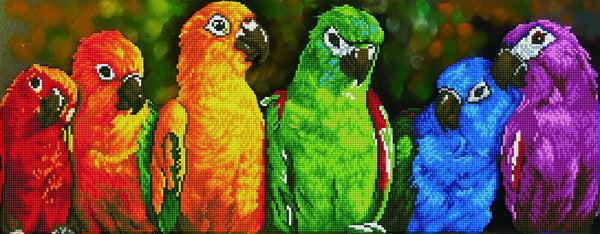 dotz Diamond Dotz Rainbow Parrots - 30.3" x 11.8"
