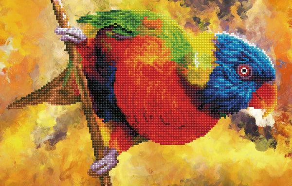 dotz Diamond Dotz Rainbow Perch - 19.7" x 12.6"