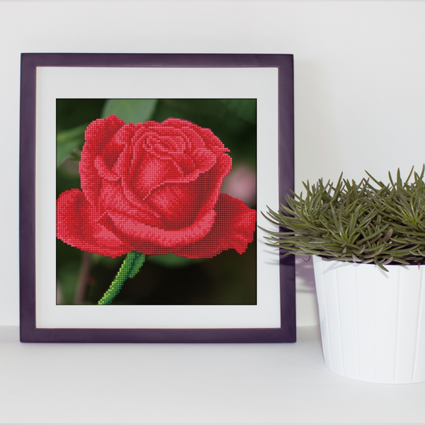 Dotz Diamond Dotz Rose Bud With Frame - 12.0" X 12.0"