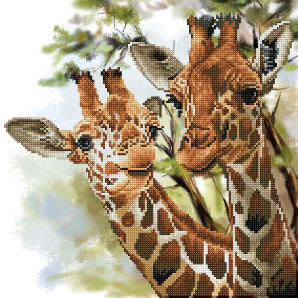 dotz Diamond Dotz Tall & Tender - 15.8" x 15.8"
