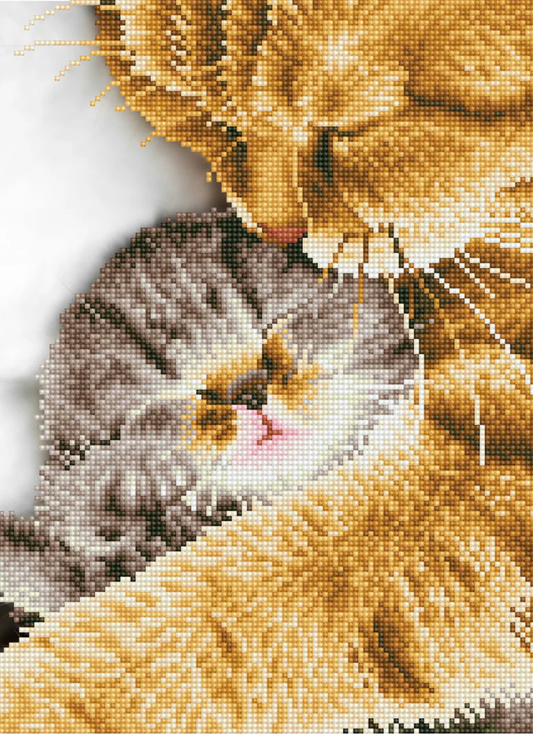 dotz Diamond Dotz Tender Moment - 11.8" x 16.1"