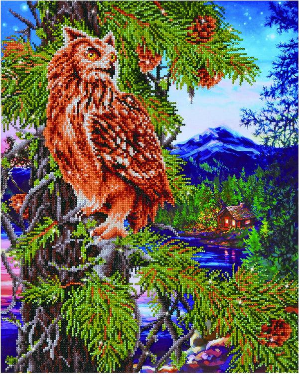 dotz Diamond Dotz Twilight Wisdom - 18.5" x 23.2"