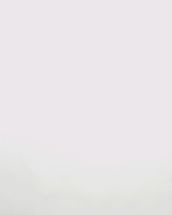 Douchebags Skate Duffel 65L