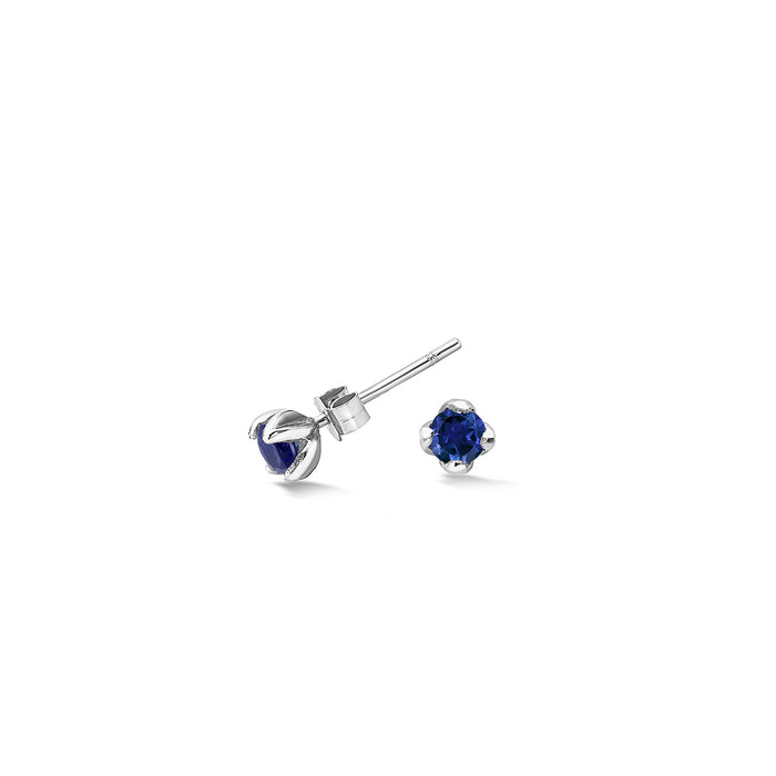 Dower & Hall 14k Gold & Sapphire Stargazer Studs