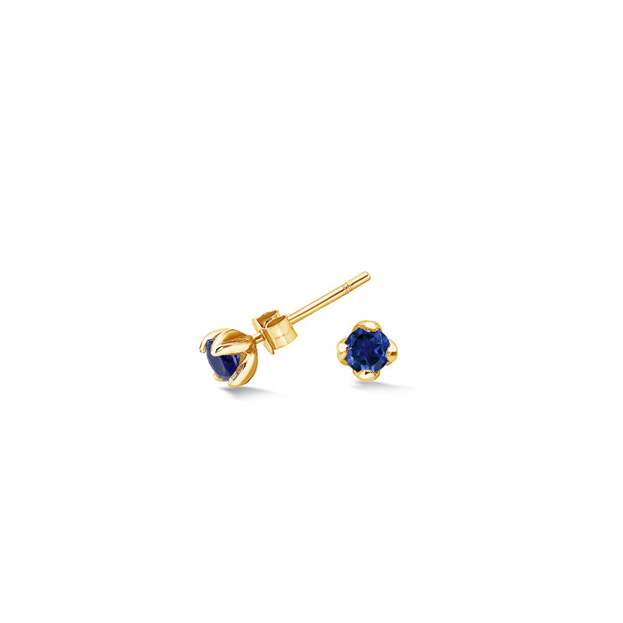 dower & hall 14k Gold & Sapphire Stargazer Studs