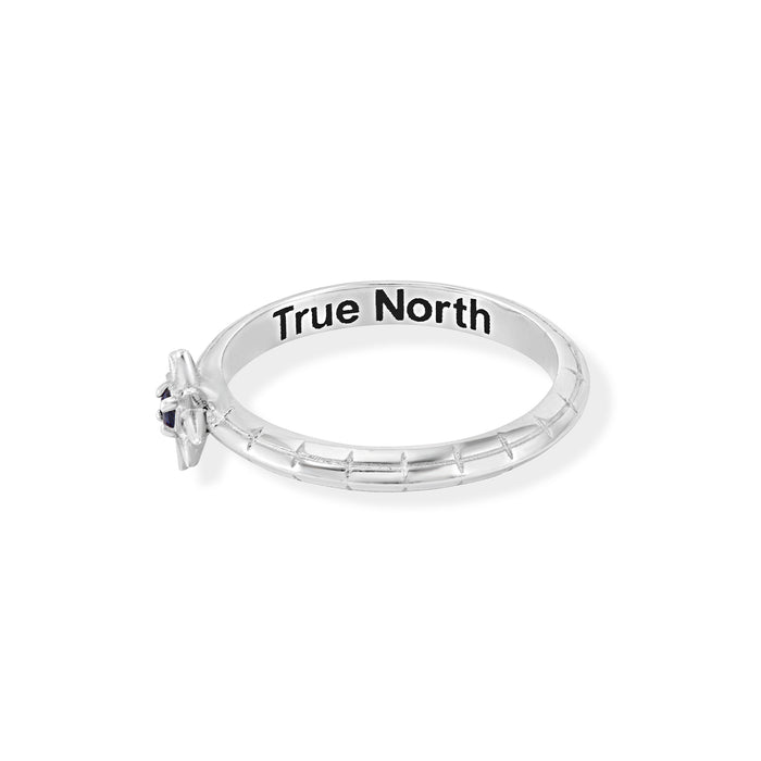 Dower & Hall Sapphire True North Twinkle Ring