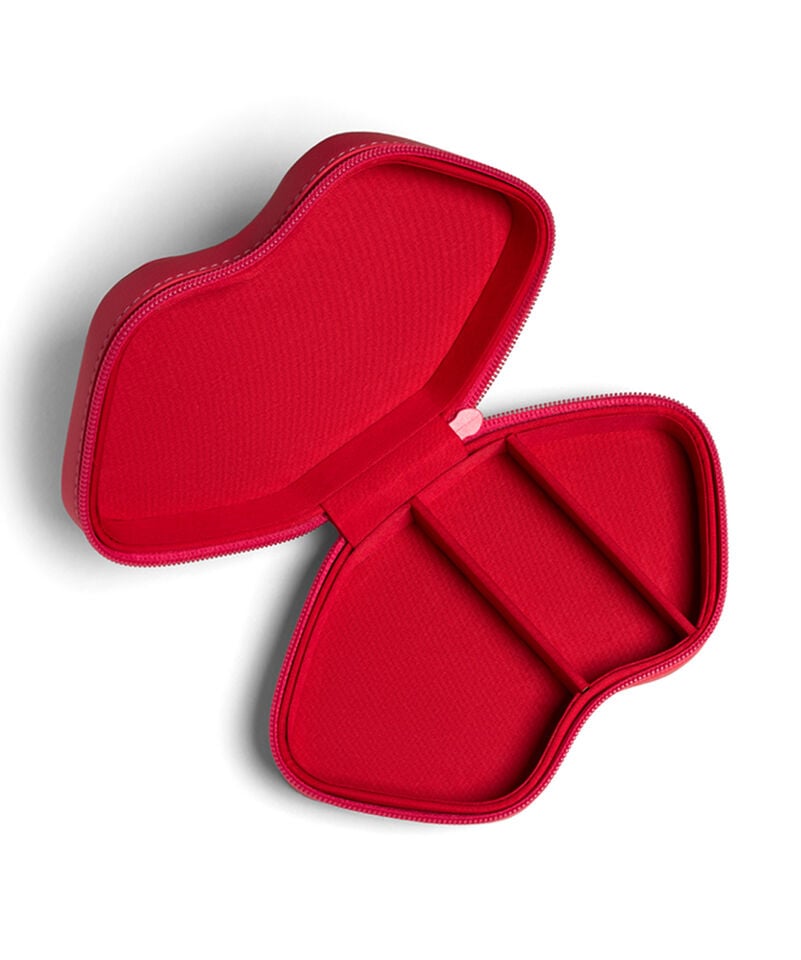 Dr Dennis Gross LipWare Pro Lip Case