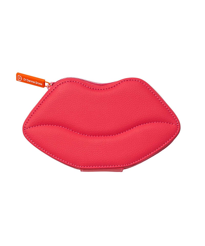 dr dennis gross LipWare Pro Lip Case