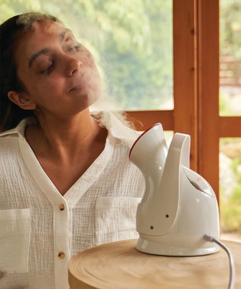 Dr Dennis Gross Pro Facial Steamer