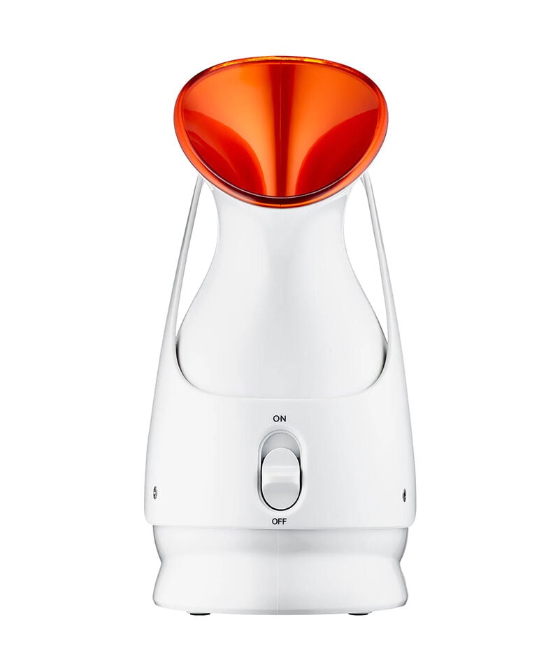 dr dennis gross Pro Facial Steamer