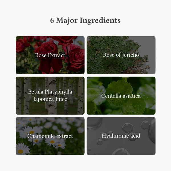 Dr. Althea Oasis Soothing Mask (Rose Of Jericho)