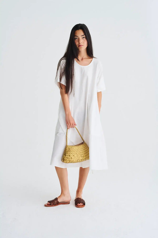 Dragon Diffusion Rosanna Gold