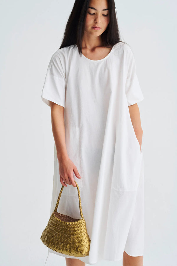 Dragon Diffusion Rosanna Gold