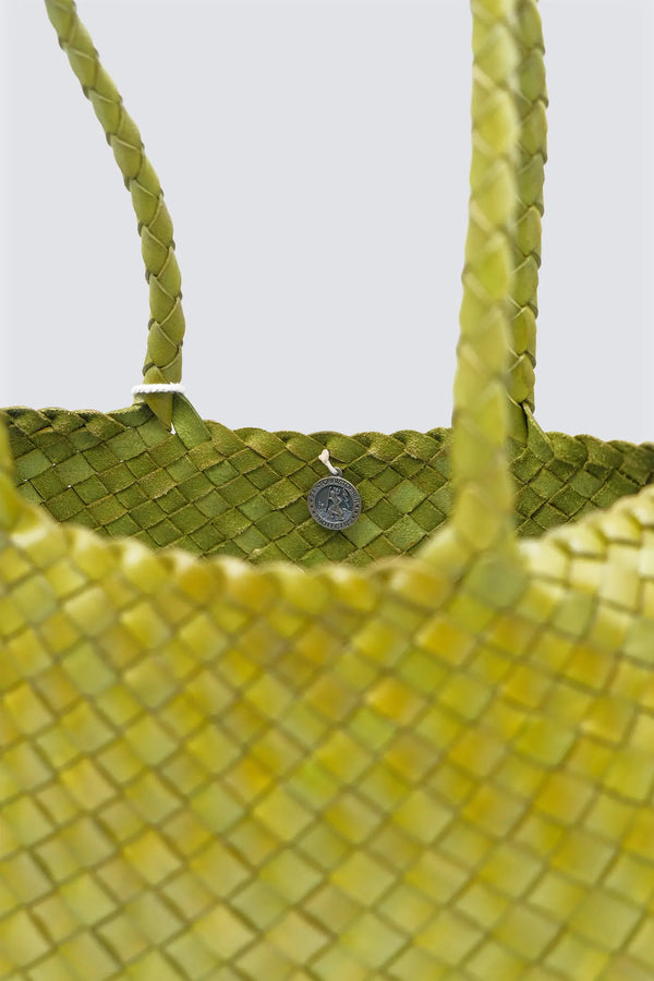 Dragon Diffusion Santa Croce Big Bamboo Green