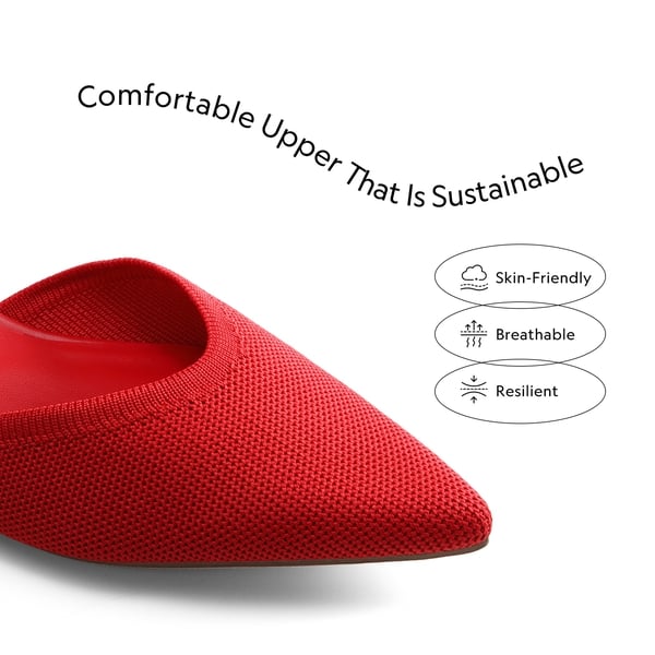 Dream Pairs Ankle Strap Pointed Toe Flats With V-Cut Vamp