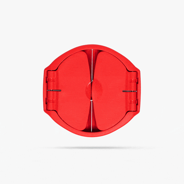 Dreamfarm Flapple A Fold Flat Ultra-Sharp Apple Slicer By Dreamfarm Red