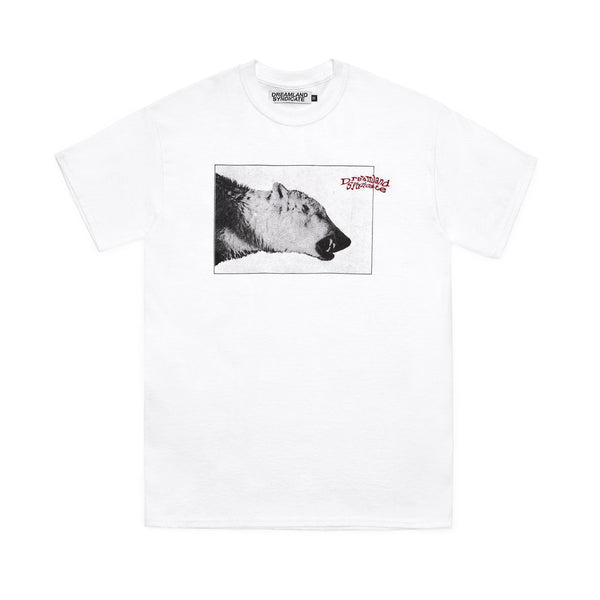 dreamland syndicate Arctic Bear T-Shirt
