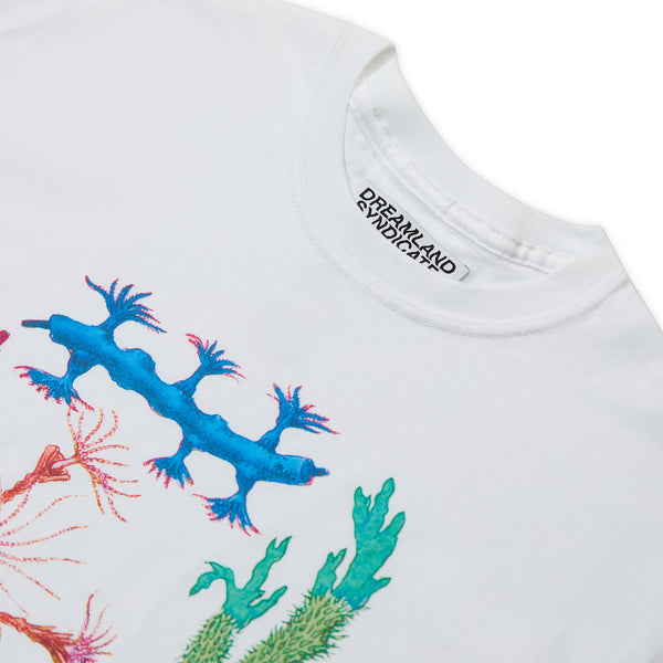 Dreamland Syndicate Coral T-shirt